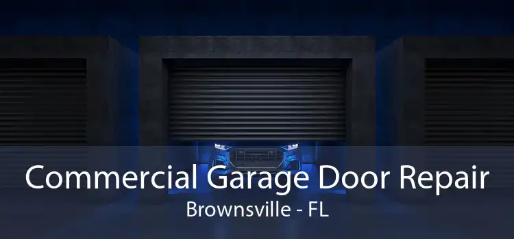 Commercial Garage Door Repair Brownsville - FL