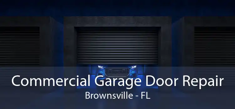  Commercial Garage Door Repair Brownsville - FL