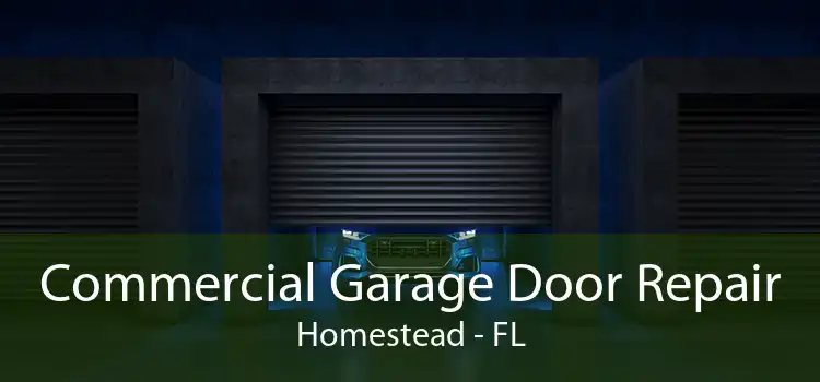 Commercial Garage Door Repair Homestead - FL