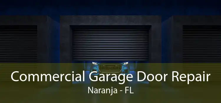 Commercial Garage Door Repair Naranja - FL