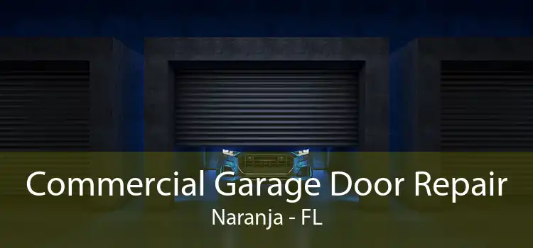  Commercial Garage Door Repair Naranja - FL