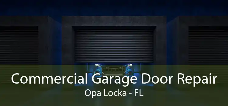 Commercial Garage Door Repair Opa Locka - FL