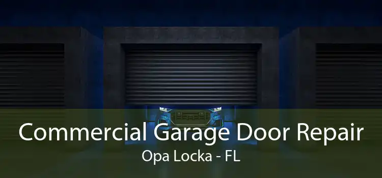  Commercial Garage Door Repair Opa Locka - FL