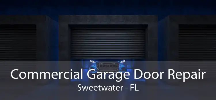  Commercial Garage Door Repair Sweetwater - FL