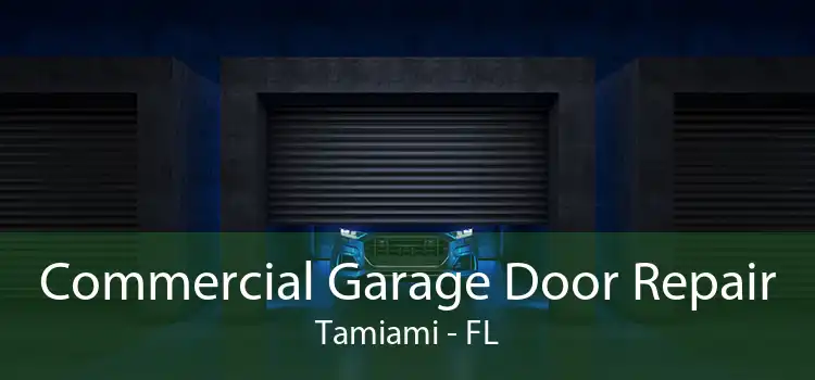 Commercial Garage Door Repair Tamiami - FL