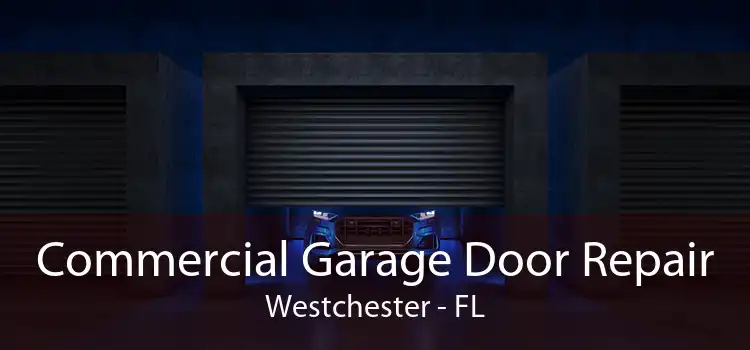 Commercial Garage Door Repair Westchester - FL