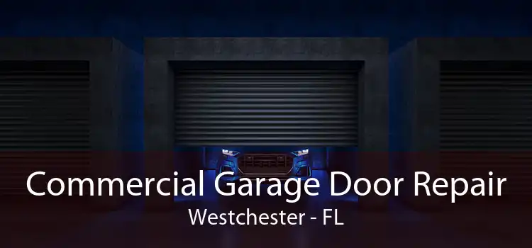  Commercial Garage Door Repair Westchester - FL