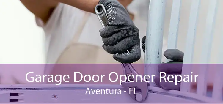 Garage Door Opener Repair Aventura - FL