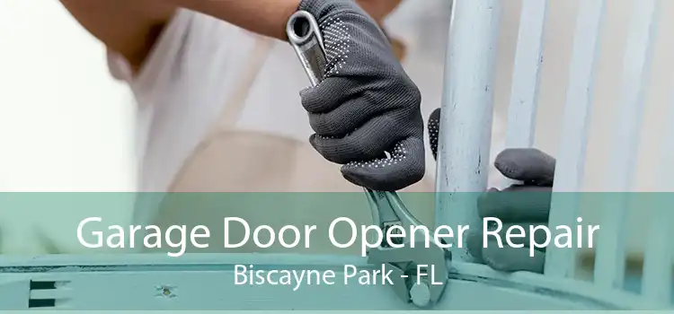 Garage Door Opener Repair Biscayne Park - FL