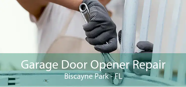  Garage Door Opener Repair Biscayne Park - FL