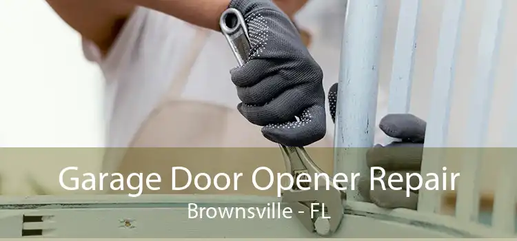 Garage Door Opener Repair Brownsville - FL