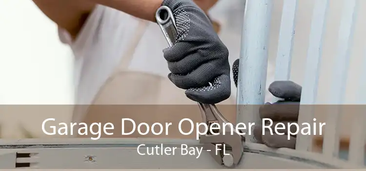  Garage Door Opener Repair Cutler Bay - FL