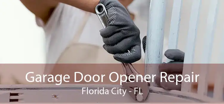 Garage Door Opener Repair Florida City - FL