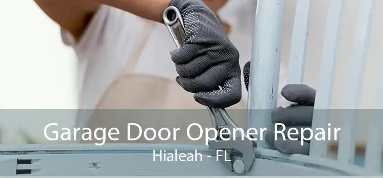 Garage Door Opener Repair Hialeah - FL