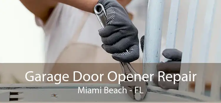  Garage Door Opener Repair Miami Beach - FL