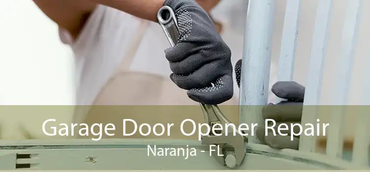 Garage Door Opener Repair Naranja - FL
