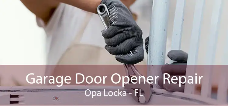 Garage Door Opener Repair Opa Locka - FL