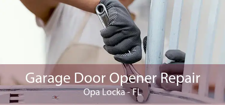  Garage Door Opener Repair Opa Locka - FL