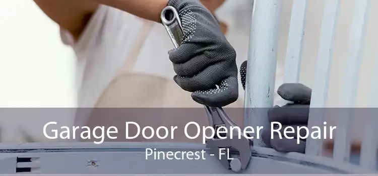  Garage Door Opener Repair Pinecrest - FL