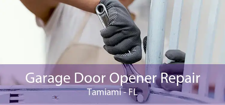 Garage Door Opener Repair Tamiami - FL