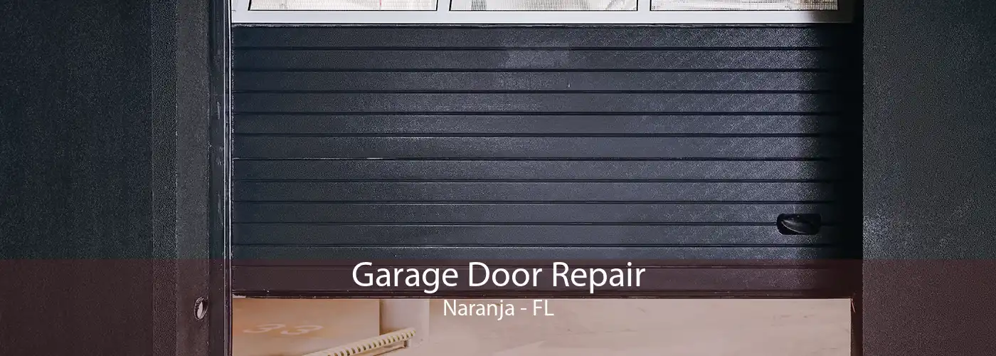 Garage Door Repair Naranja - FL