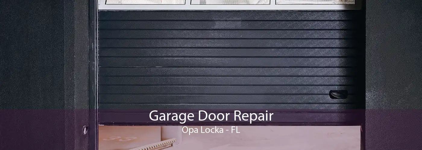 Garage Door Repair Opa Locka - FL