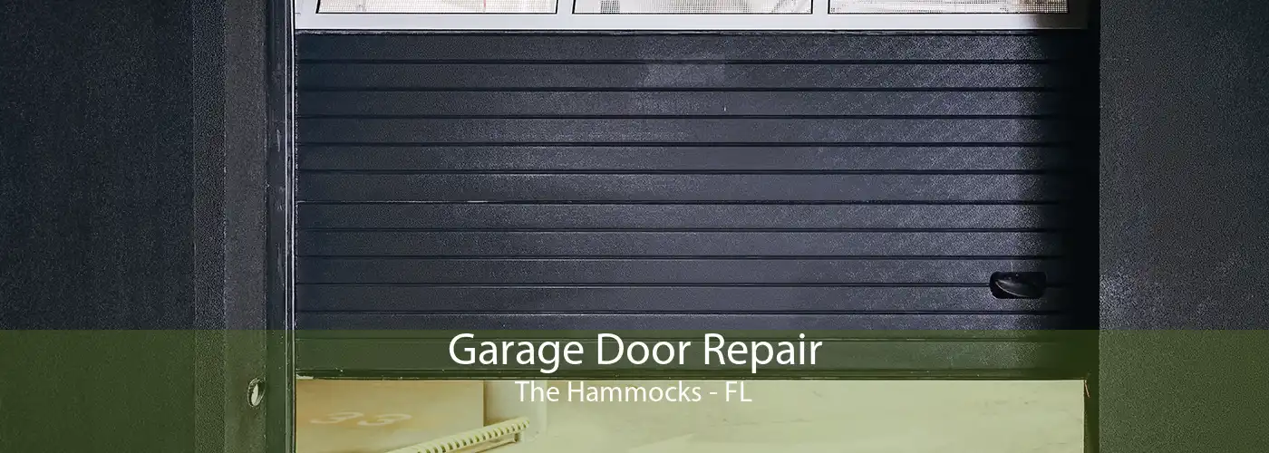  Garage Door Repair The Hammocks - FL