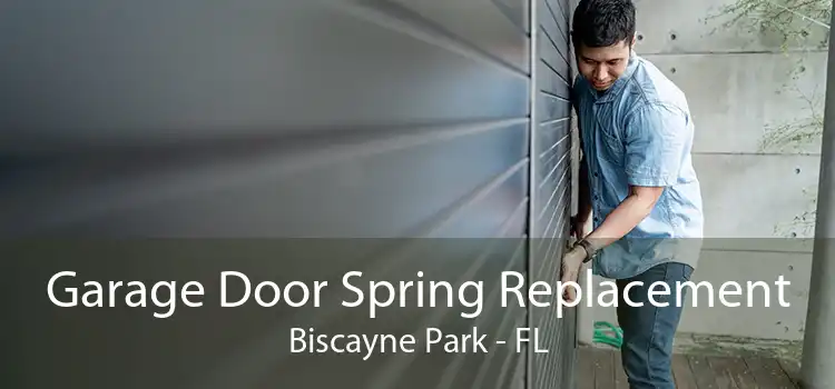  Garage Door Spring Replacement Biscayne Park - FL