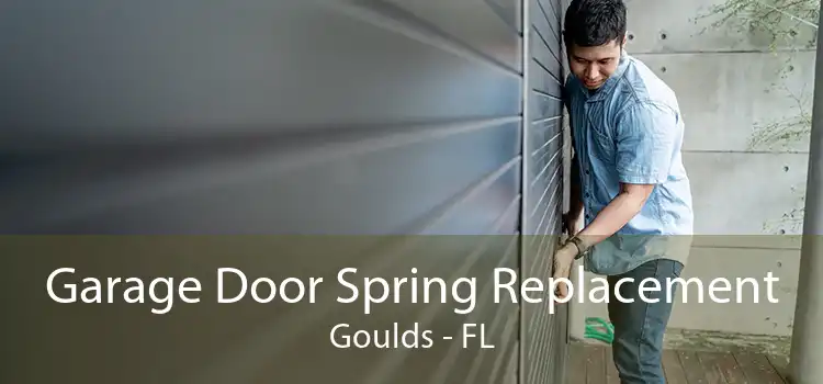  Garage Door Spring Replacement Goulds - FL