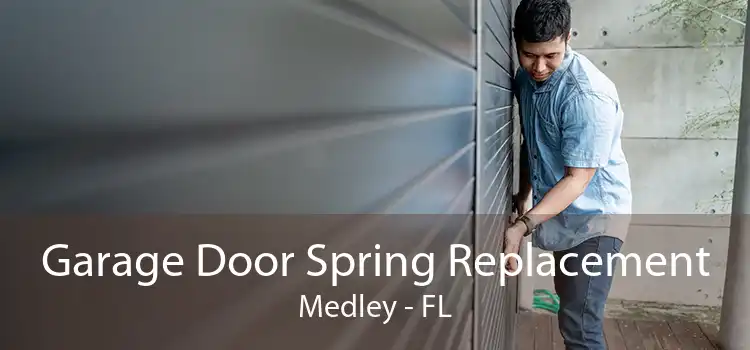 Garage Door Spring Replacement Medley - FL