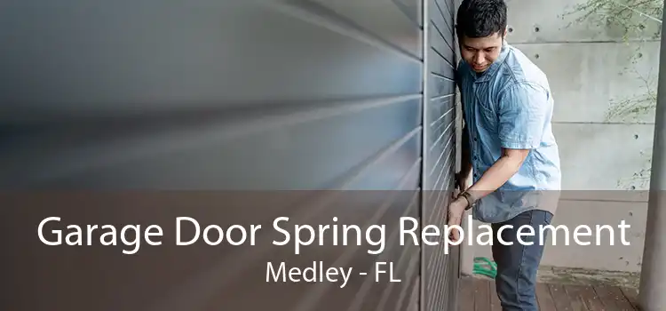  Garage Door Spring Replacement Medley - FL