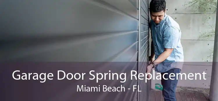 Garage Door Spring Replacement Miami Beach - FL