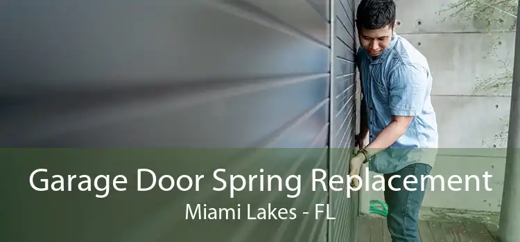 Garage Door Spring Replacement Miami Lakes - FL