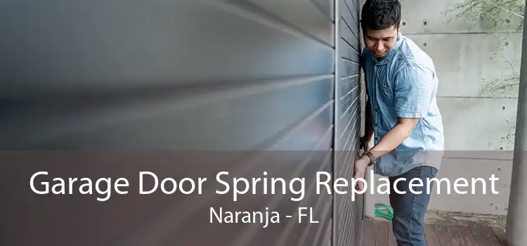 Garage Door Spring Replacement Naranja - FL