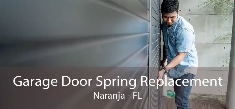  Garage Door Spring Replacement Naranja - FL