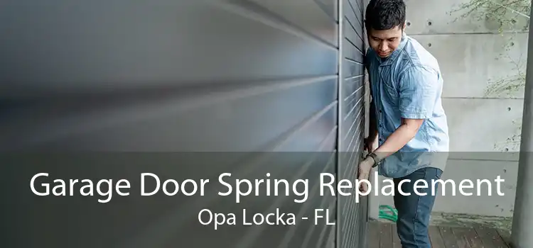  Garage Door Spring Replacement Opa Locka - FL