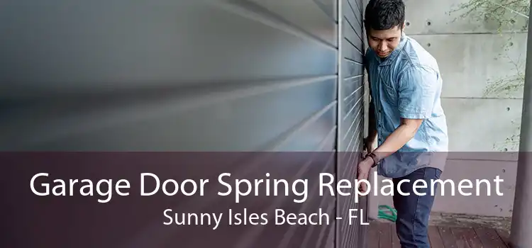 Garage Door Spring Replacement Sunny Isles Beach - FL