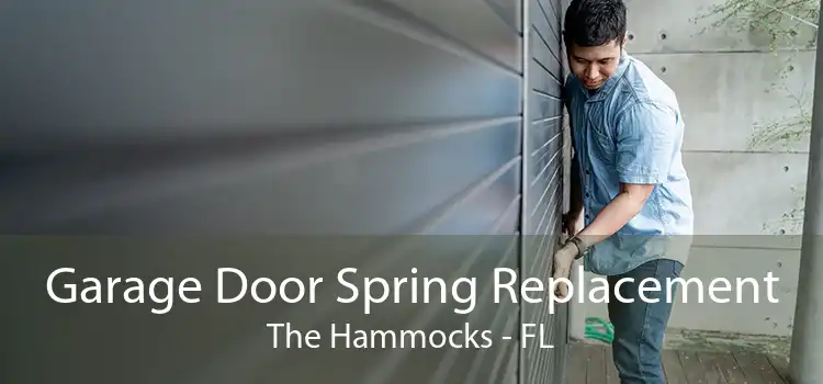  Garage Door Spring Replacement The Hammocks - FL