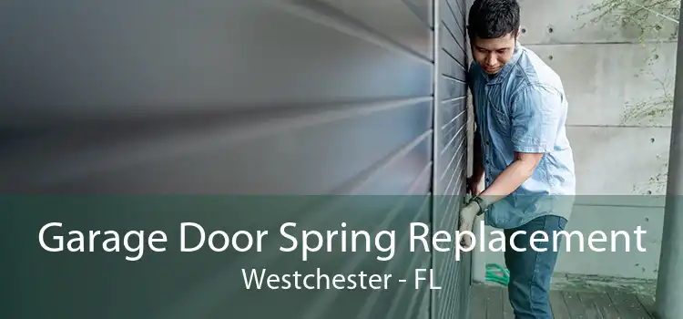 Garage Door Spring Replacement Westchester - FL